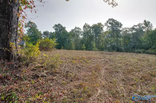 Arab, AL 35016,LOT 1 Creekside Lane