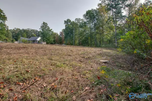 Arab, AL 35016,LOT 1 Creekside Lane