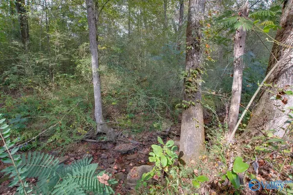 Arab, AL 35016,Lot 2 Creekside Lane SE