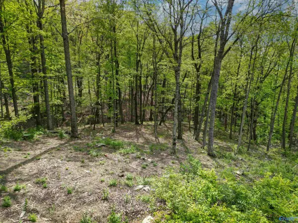 Huntsville, AL 35801,1298 Castlegate Blvd