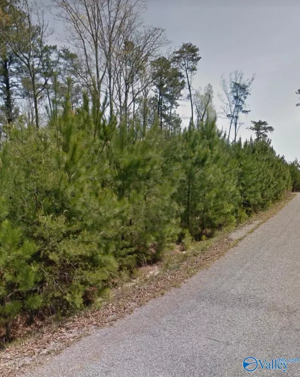 Lot 19 Bear Cove Lane, Arley, AL 35541