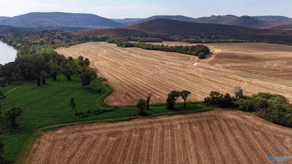 Laceys Spring, AL 35754,20 Mccutcheon Loop Road