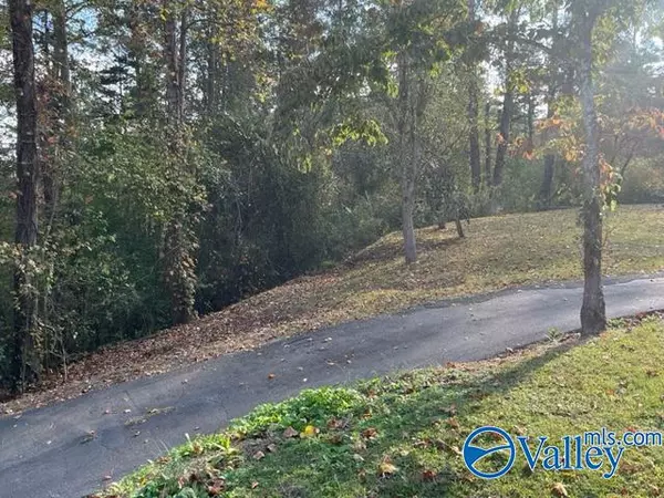 Attalla, AL 35954,3125 Miller Hollow Road