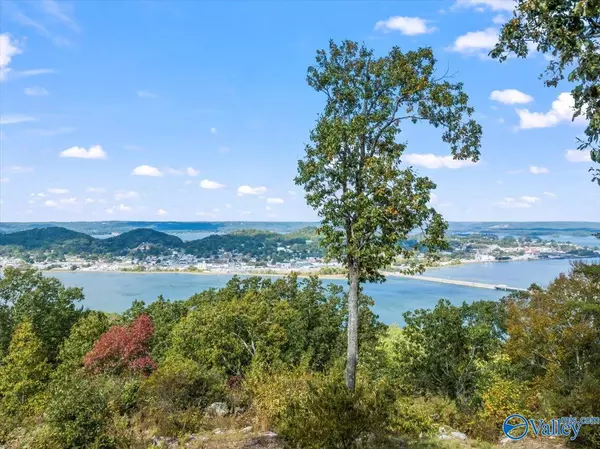 Guntersville, AL 35976,6000 Wyeth Rock Road