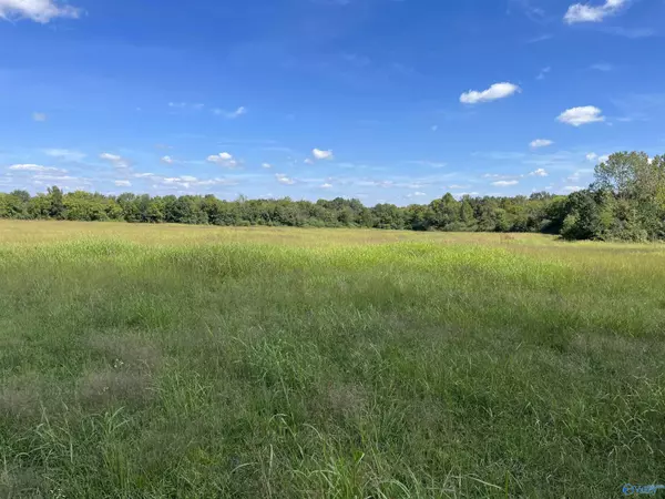 40 Acres County Road 205, Danville, AL 35619