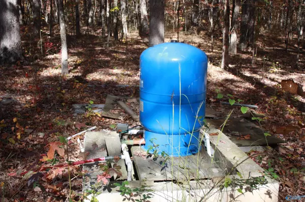 Princeton, AL 35766,6595 County Road 3