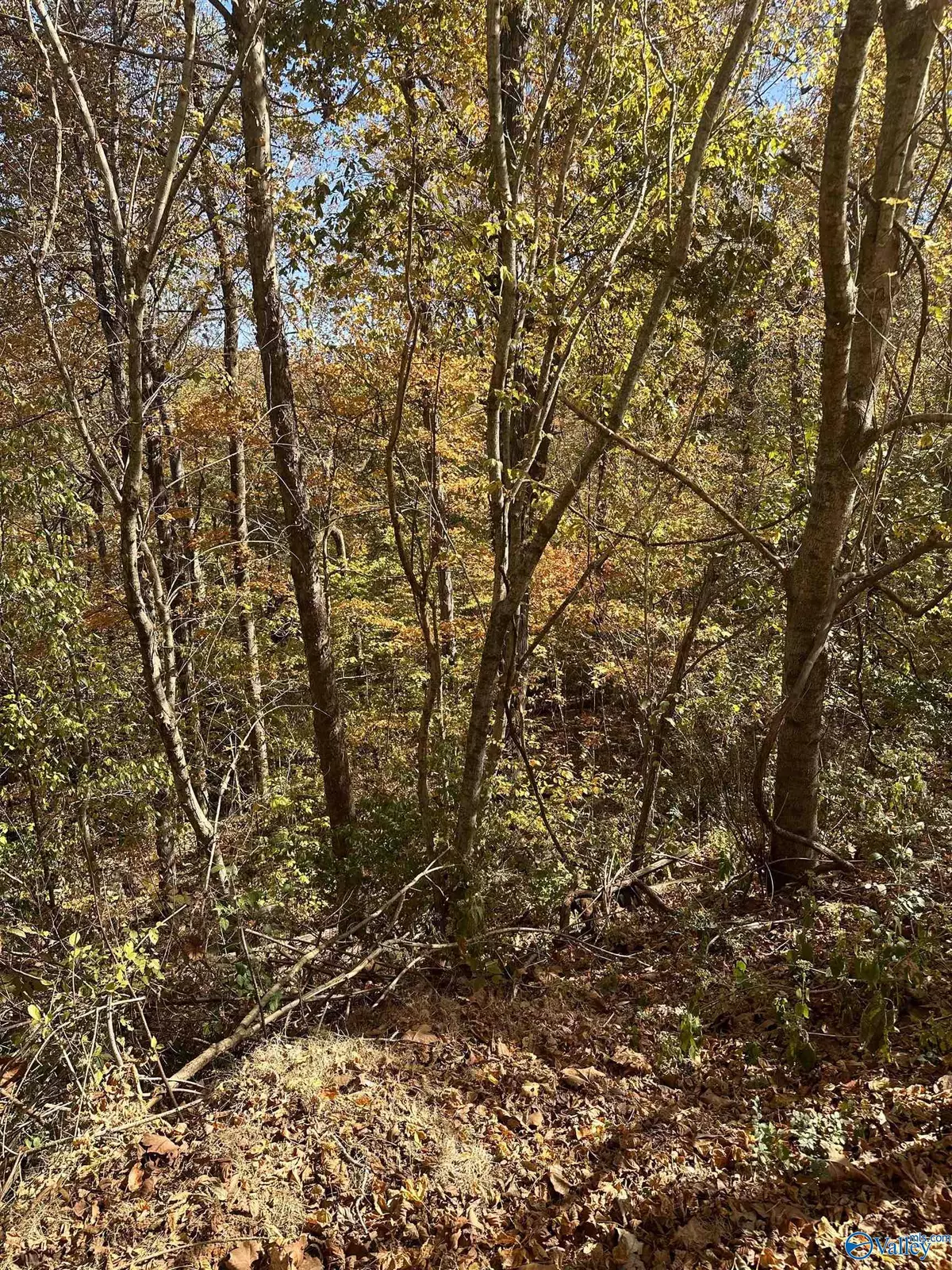 Brownsboro, AL 35741,4619 Legacy Preserve Way SE