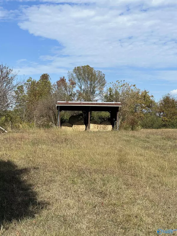 Arab, AL 35016,4 acres County Road 1763 B