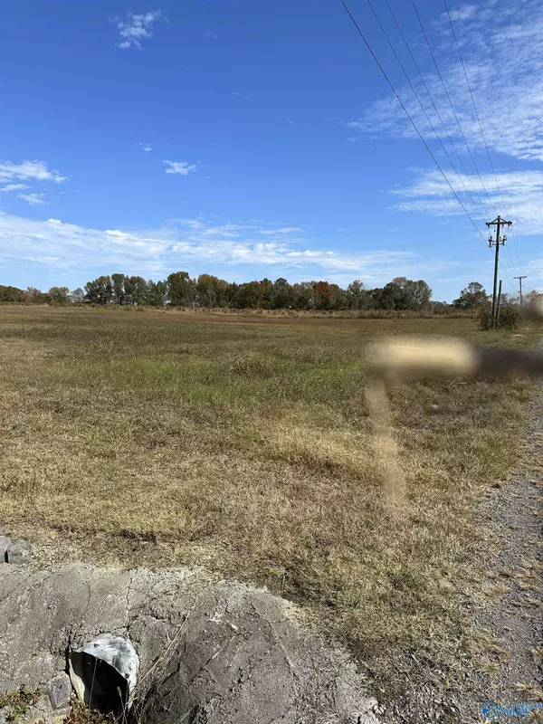 Arab, AL 35016,4 acres County Road 1763 B