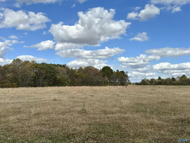 006 Witty Mill Road, Elkmont, AL 35620