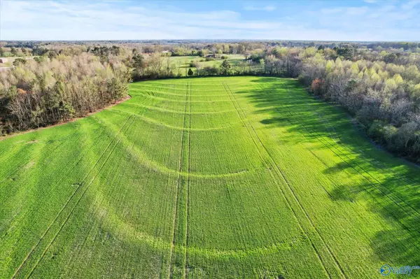 Albertville, AL 35951,30 Acres County Road 1908