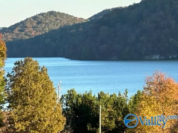 Guntersville, AL 35976,91 Heritage Drive