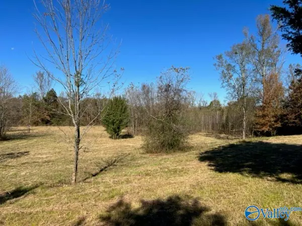 Danville, AL 35619,2619 Danville Road