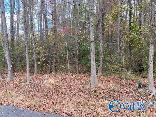 Lot 1 Sledge Road, Athens, AL 35611