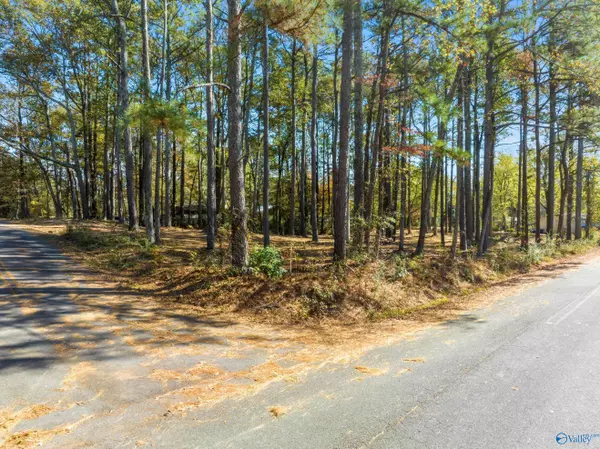 LOT 1 Timber Lane, Arab, AL 35016