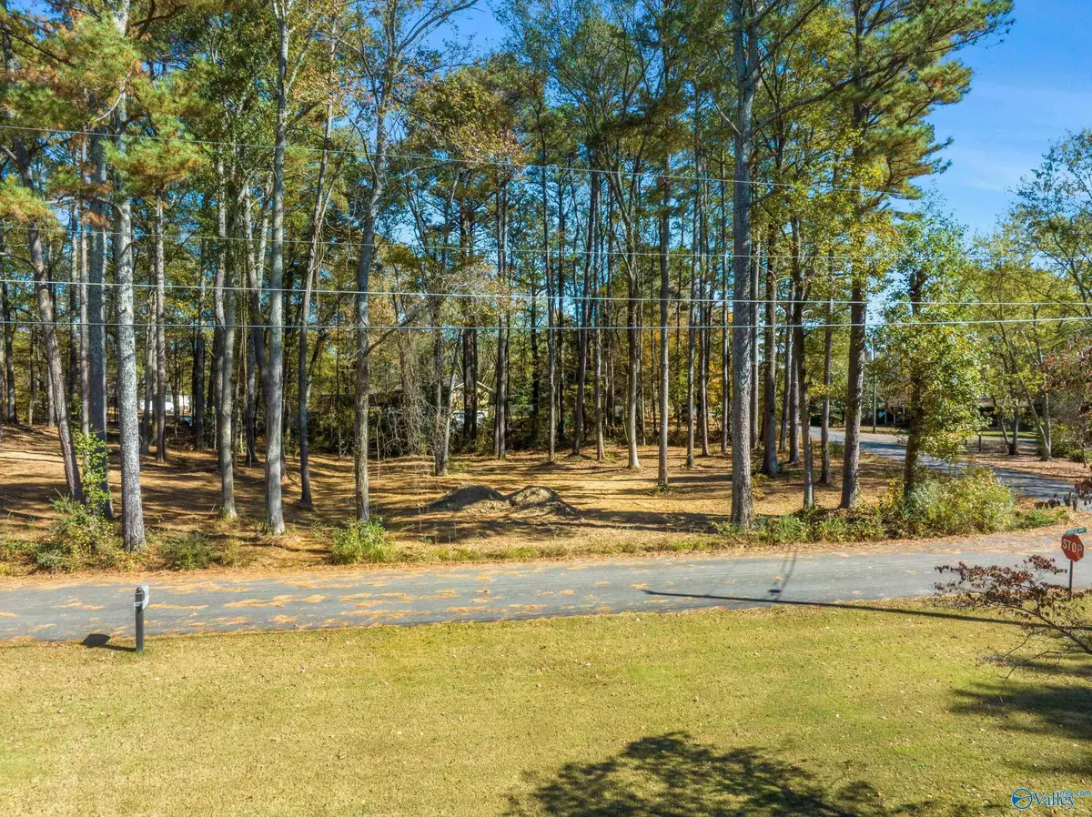 Arab, AL 35016,LOT 2 Timber Lane