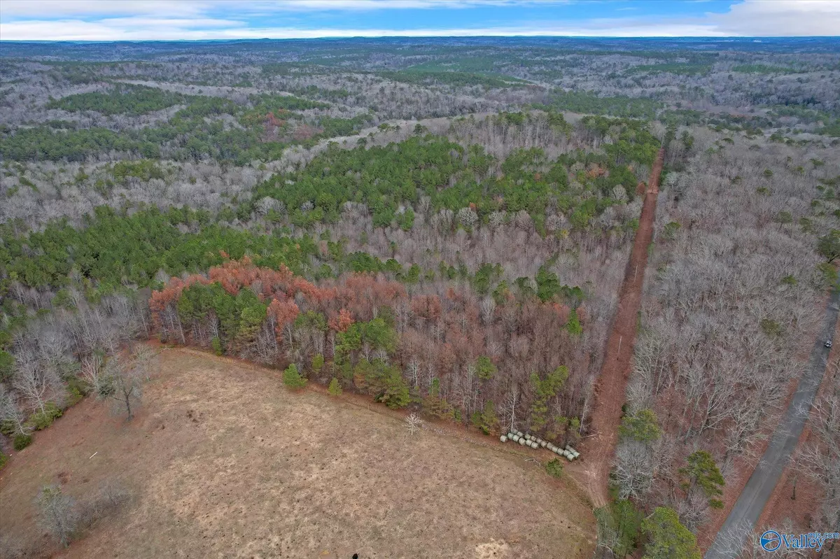 Moulton, AL 35650,20 Acres County Road 71