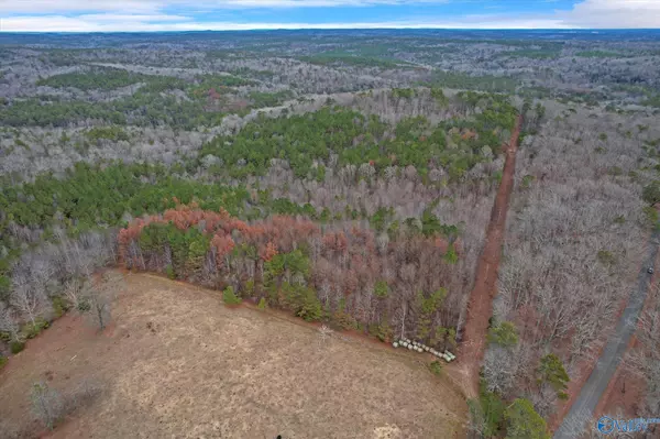 20 Acres County Road 71, Moulton, AL 35650