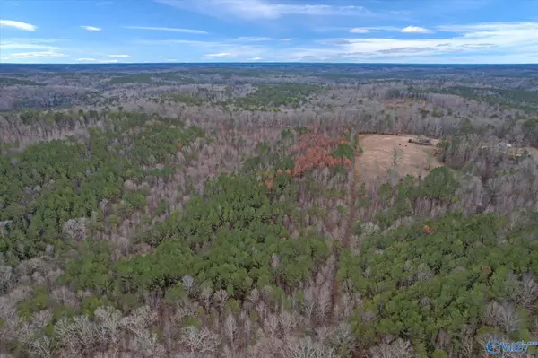 Moulton, AL 35650,20 Acres County Road 71