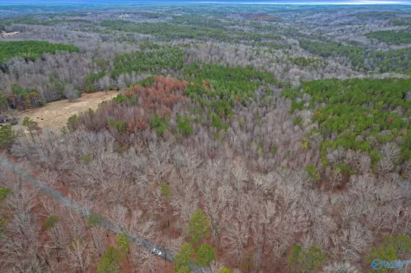 Moulton, AL 35650,20 Acres County Road 71