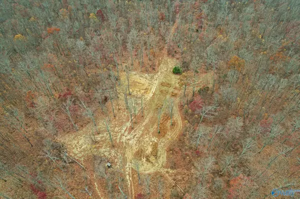 Princeton, AL 35766,1011 A County Road 303