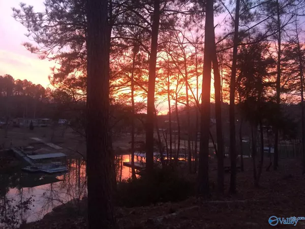 Double Springs, AL 35553,110 Fawn Lane