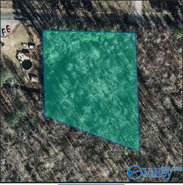 Union Grove, AL 35175,LOT #23 Mount Olive Church Road