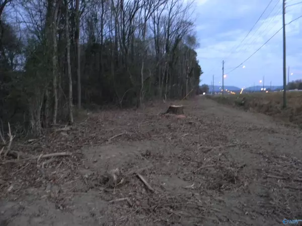 Piedmont, AL 36272,Lots Piedmont Hwy