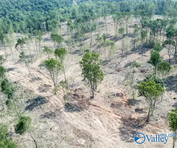 Russellville, AL 35653,1425 County Road 133