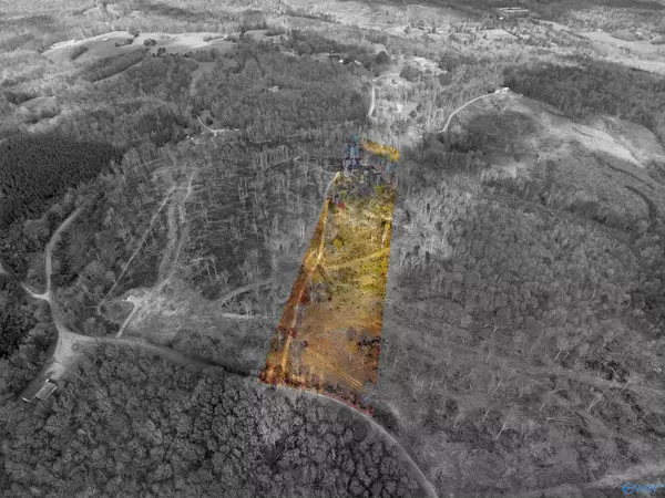 Russellville, AL 35653,1425 County Road 133