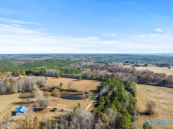 Crane Hill, AL 35053,24.5 ac County Road 960