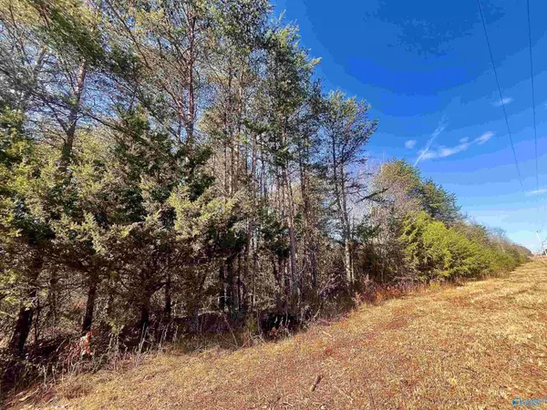 Flat Rock, AL 35966,1.44 Acres Highway 75