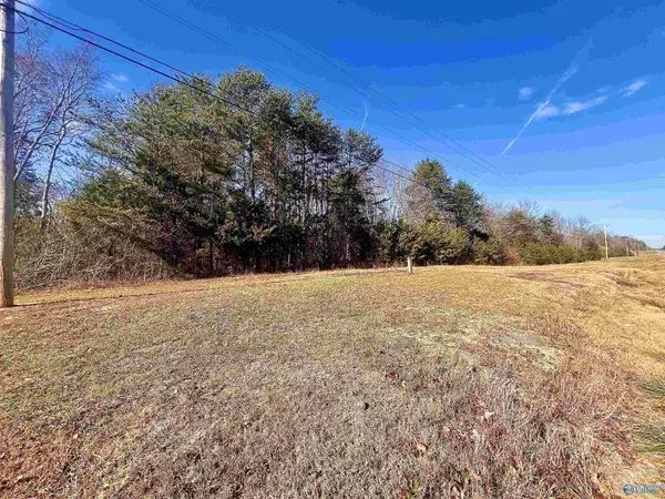 1.44 Acres Highway 75, Flat Rock, AL 35966