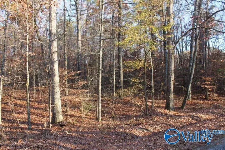 Fort Payne, AL 35986,Lot 11 County Road 596