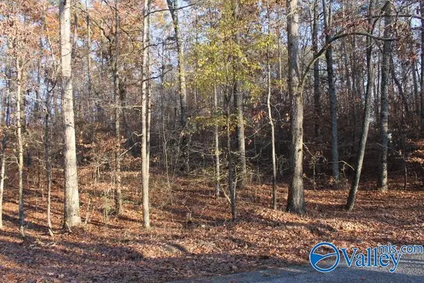 Fort Payne, AL 35986,Lot 11 County Road 596