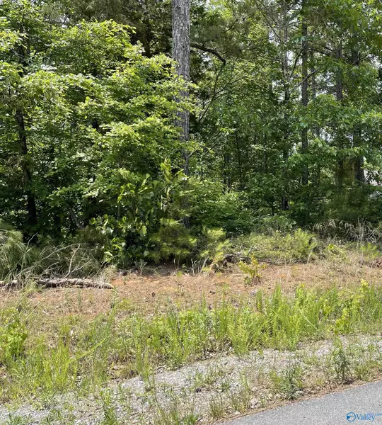 Lot 5 Mini Farm Road, Grant, AL 35747