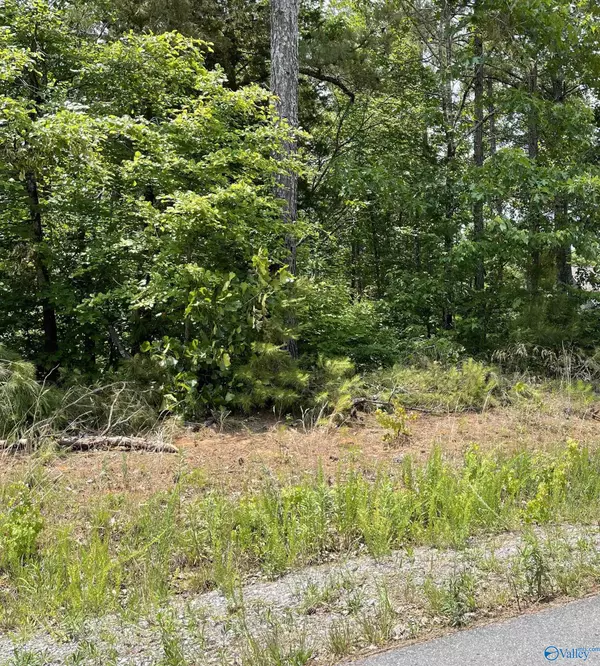 Grant, AL 35747,Lot 5 Mini Farm Road