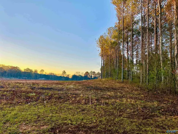 Decatur, AL 35603,13 Acres Bunny Lane