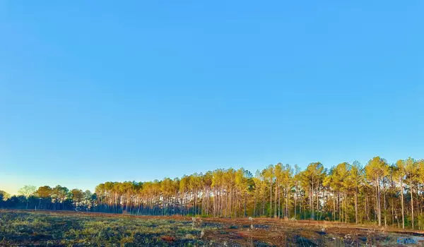 Decatur, AL 35603,13 Acres Bunny Lane