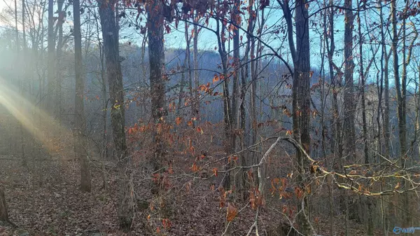 Eva, AL 35621,80 acres Rock Creek Road