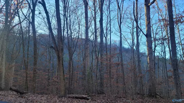 Eva, AL 35621,80 acres Rock Creek Road