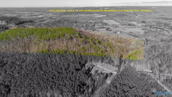 Eva, AL 35621,80 acres Rock Creek Road