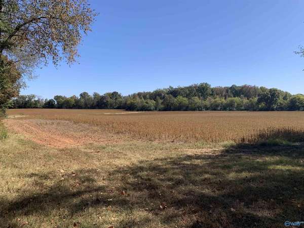 10 ACRES County Line Road, Madison, AL 35756