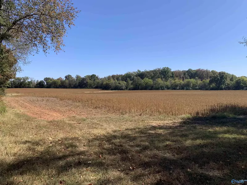 10 ACRES County Line Road, Madison, AL 35756
