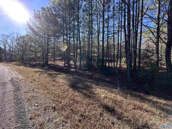 34 Acre County Highway 94, Hamilton, AL 35570