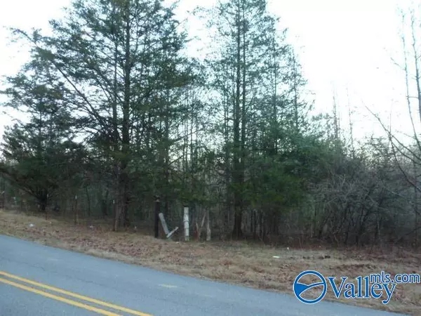 4341 County Road 14, Waterloo, AL 35677