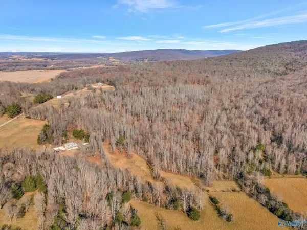 New Market, AL 35761,45 acres Marvaline Drive