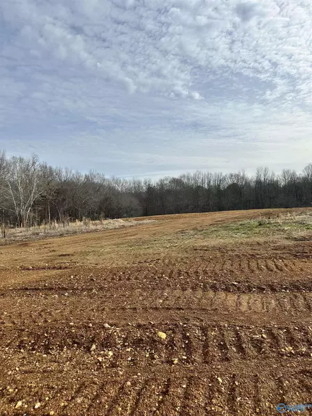 Lot 21 Saban Lane, Athens, AL 35613