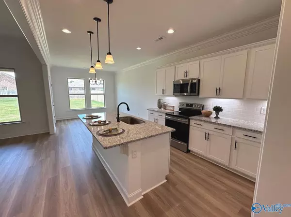 Toney, AL 35773,28391 Molly Bee Lane