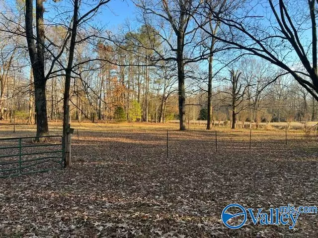 22347 Pepper Road, Athens, AL 35613